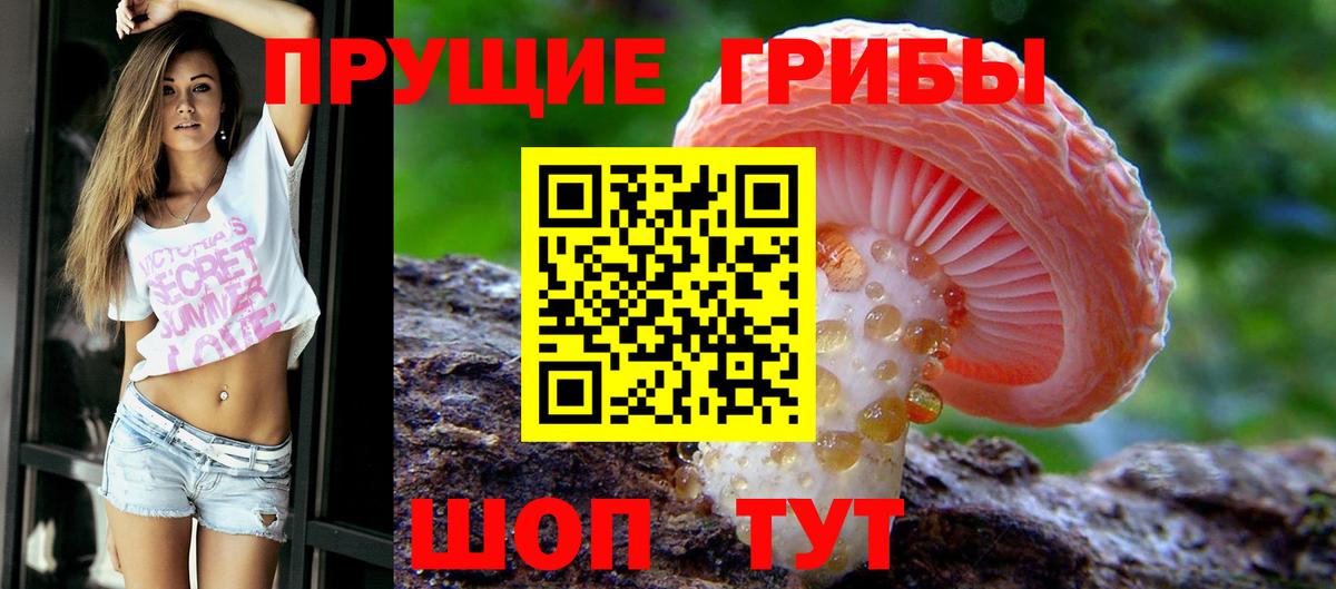 Псилоцибиновые грибы Cubensis  Вход с VPN  Мариинск 