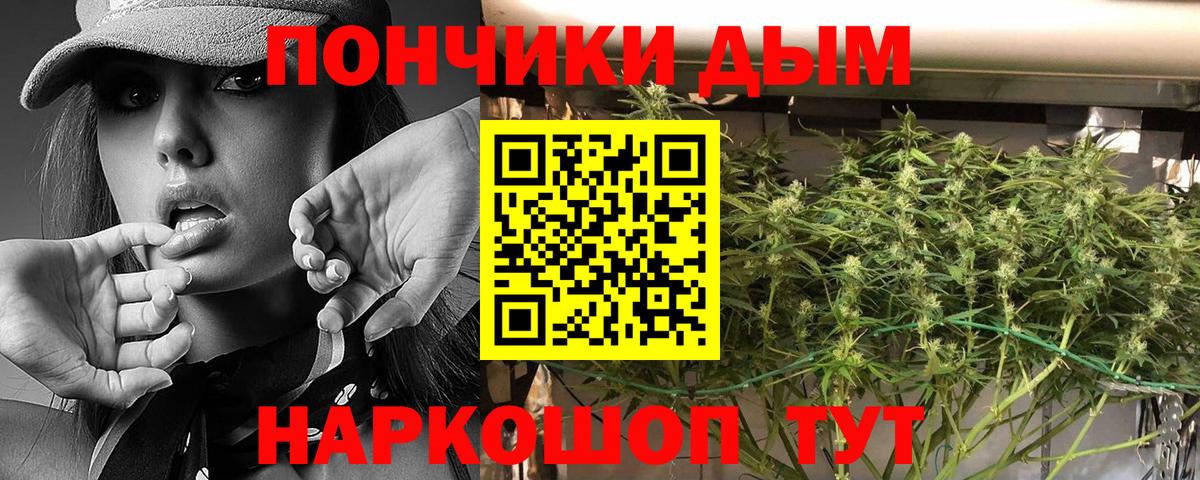 Бошки Шишки гибрид  Марихуана план  Вход с VPN  Мариинск  Канабис конопля 